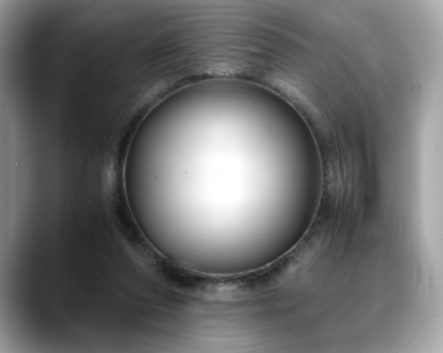 X0000088740208200705311453