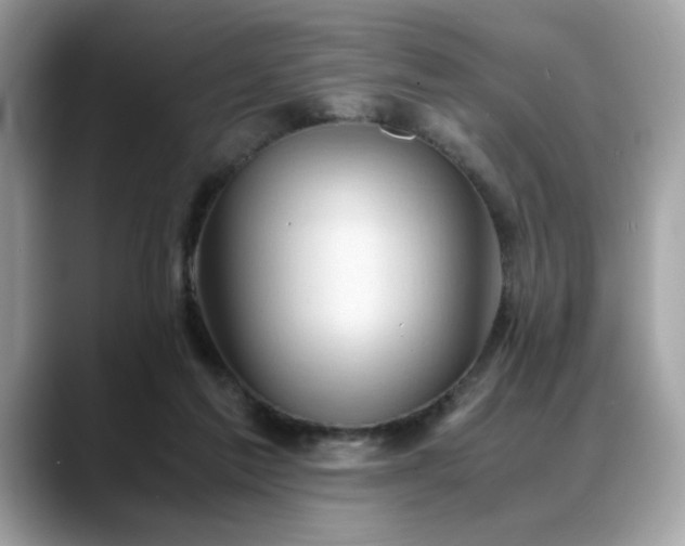 X0000088740213200705311453