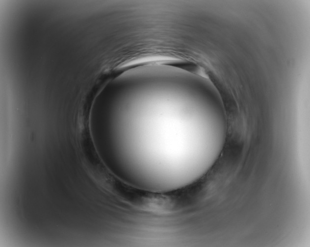 X0000088740215200705311453