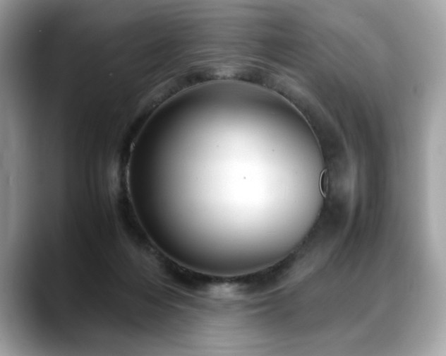X0000088740216200705311453