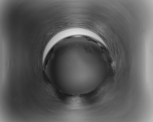 X0000088740219200705311453