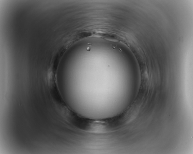 X0000088740222200705311453