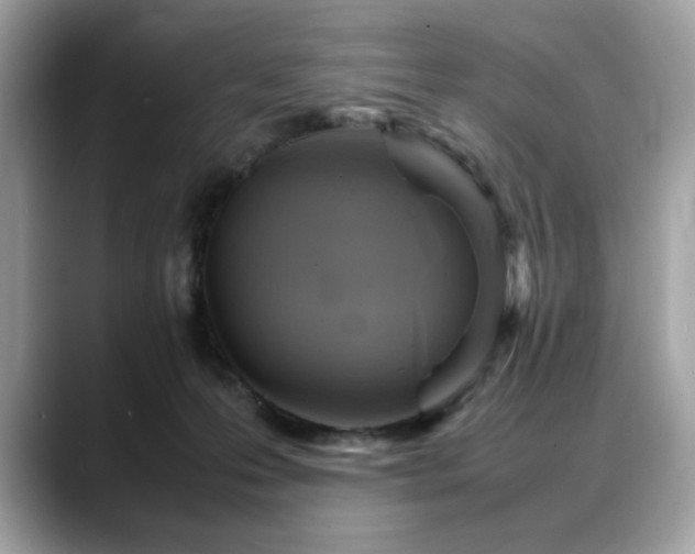 X0000088740223200705311453