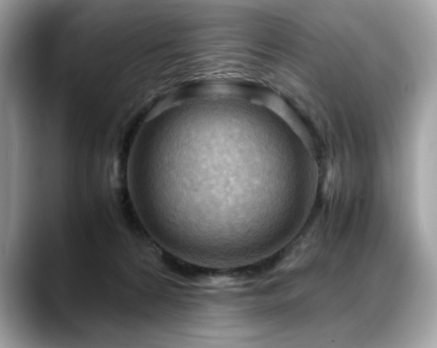 X0000088740224200705311453