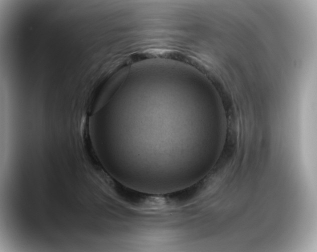 X0000088740227200705311453