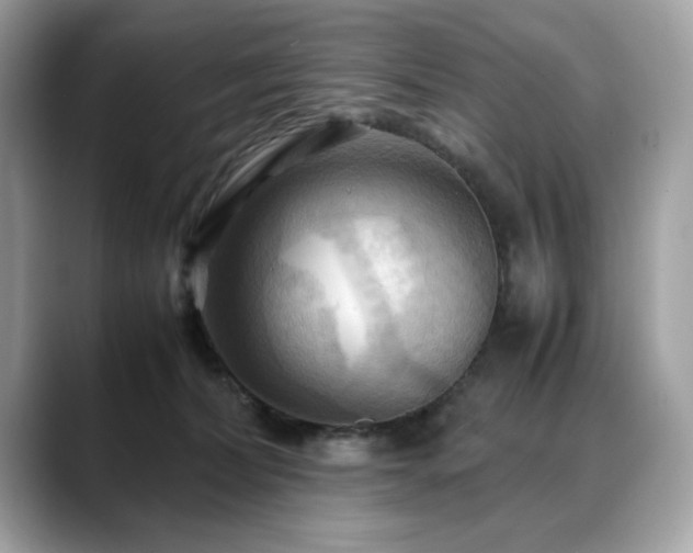 X0000088740228200705311453