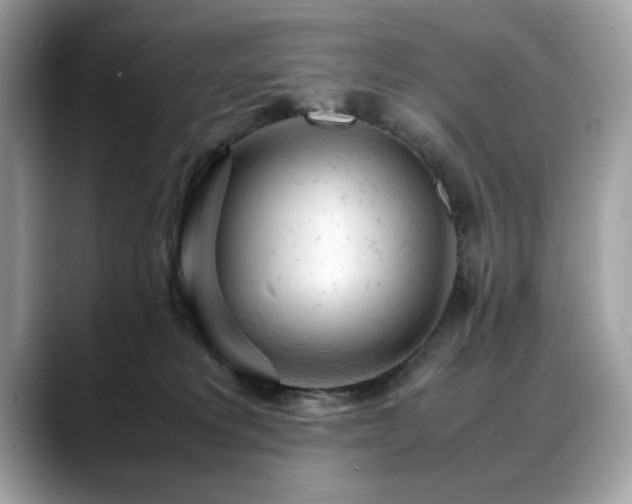 X0000088740229200705311453