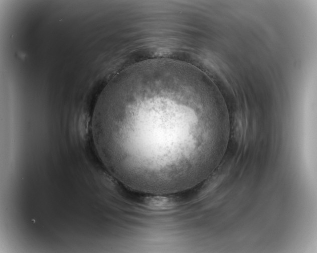 X0000088740230200705311453