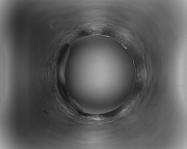 X0000088740231200705311453