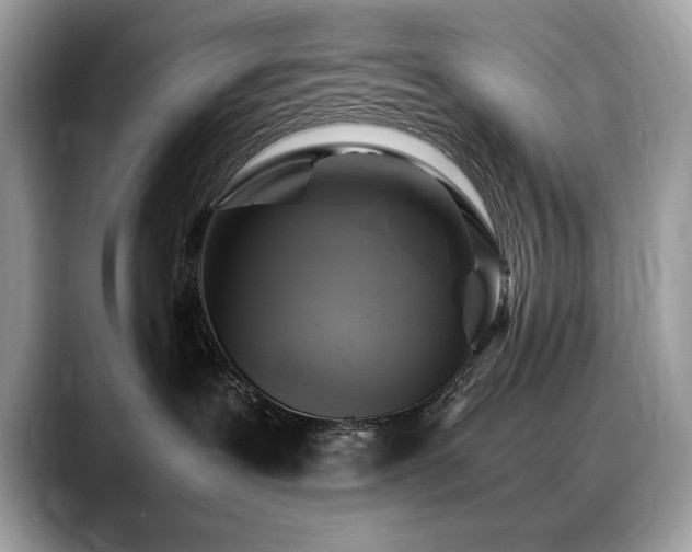 X0000088740239200705311453