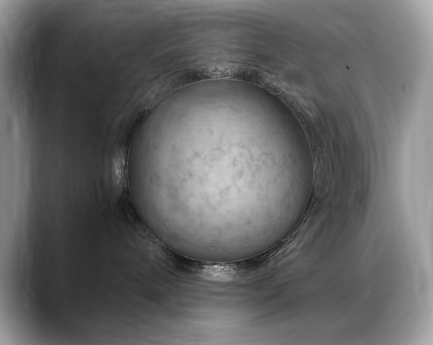 X0000088740240200705311453