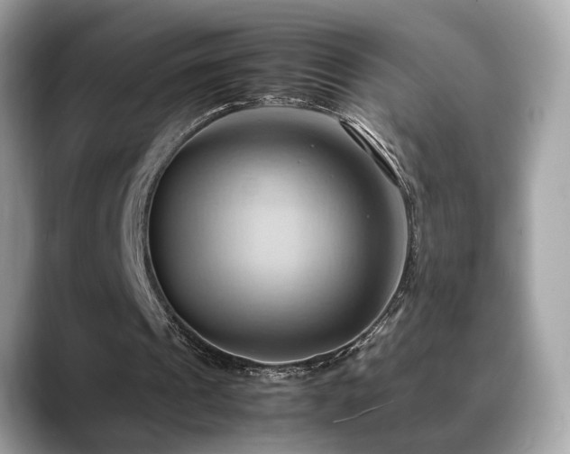 X0000088740241200705311452