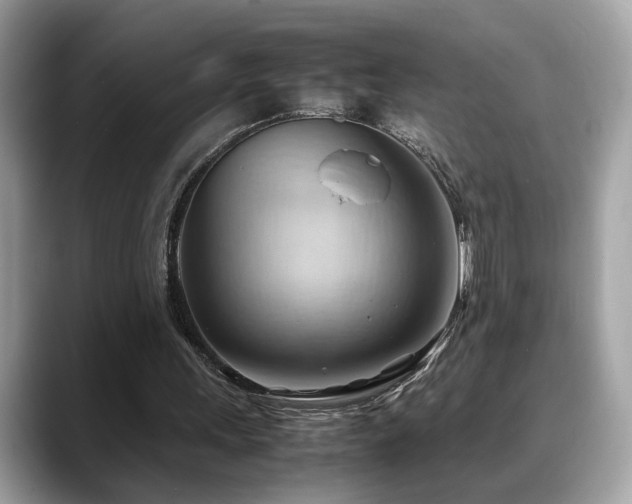 X0000088740243200705311452
