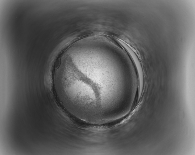 X0000088740245200705311452