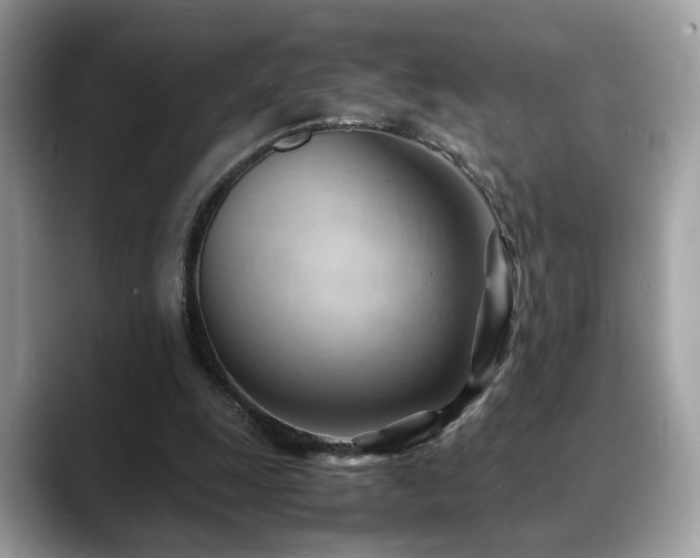 X0000088740247200705311452