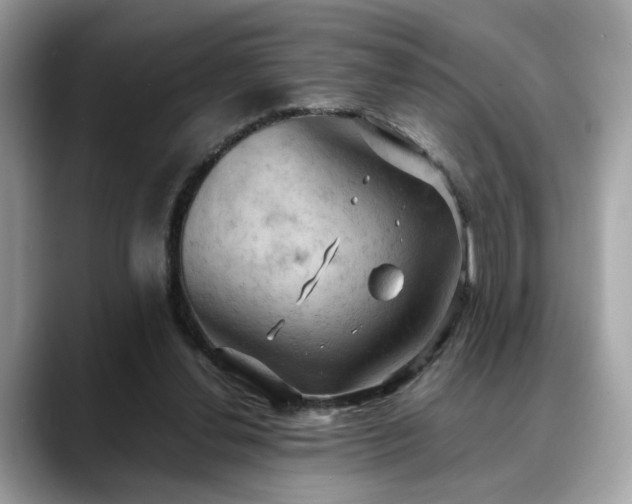 X0000088740252200705311452