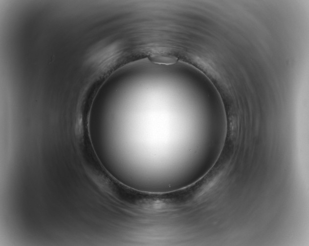 X0000088740254200705311452