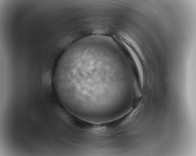 X0000088740257200705311453