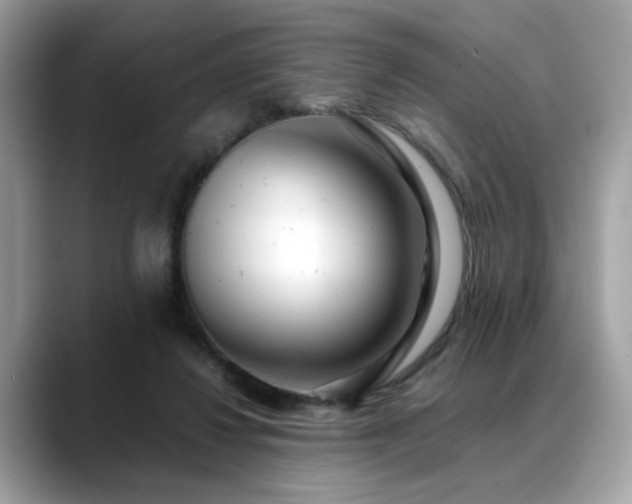 X0000088740260200705311453