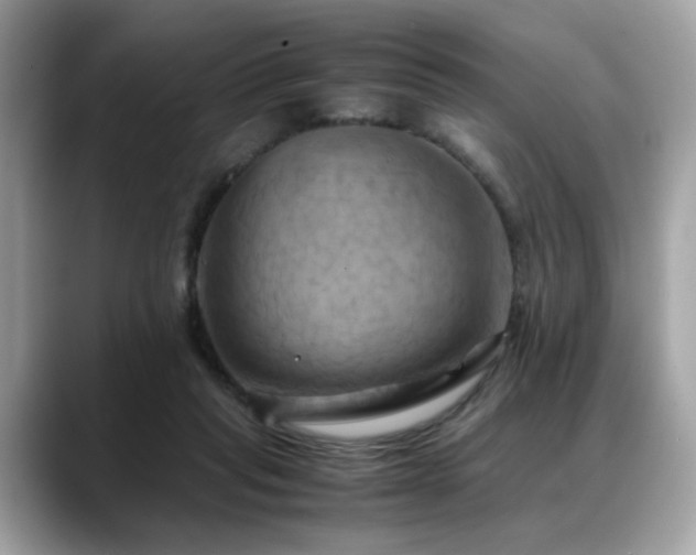 X0000088740261200705311453