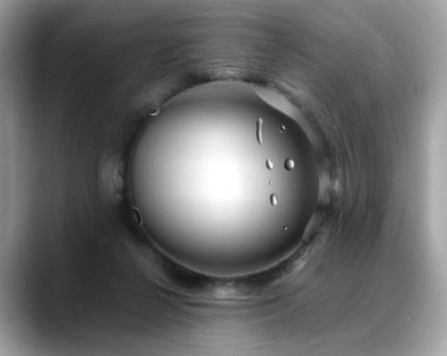 X0000088740264200705311453