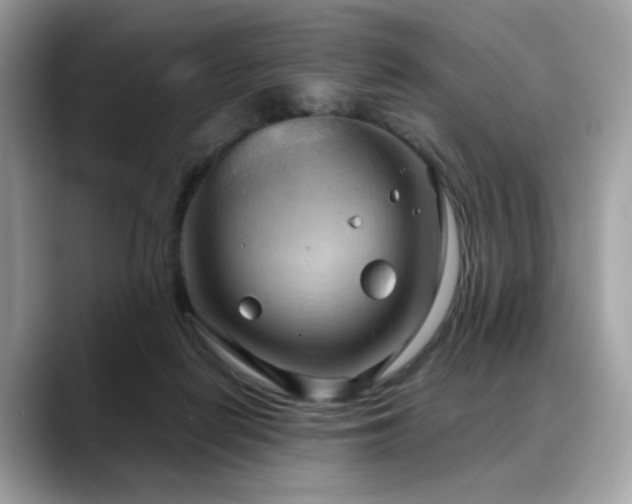 X0000088740266200705311453