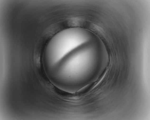 X0000088740267200705311453
