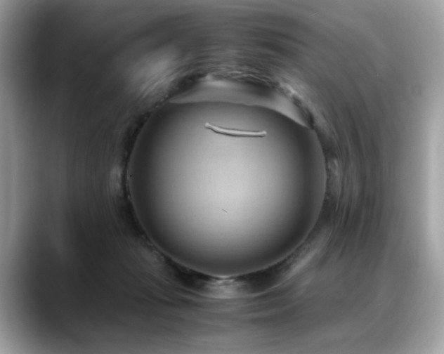 X0000088740269200705311453