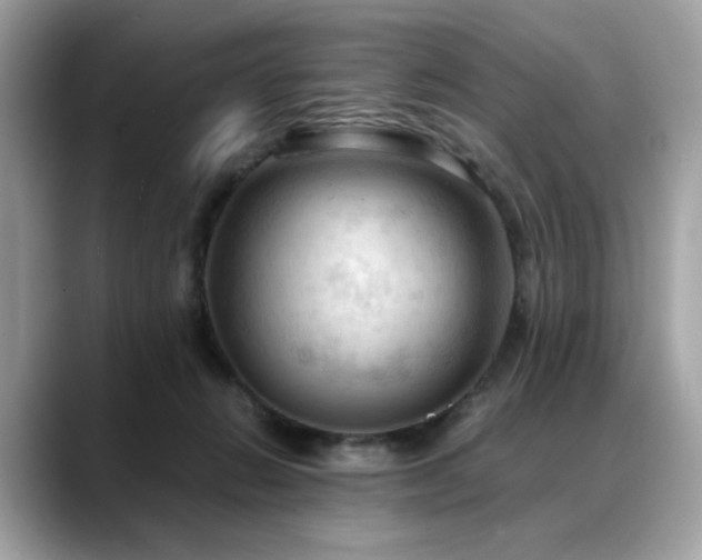 X0000088740270200705311453