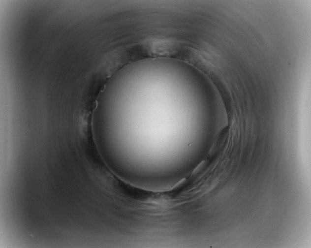 X0000088740271200705311453