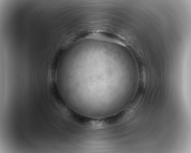 X0000088740272200705311453
