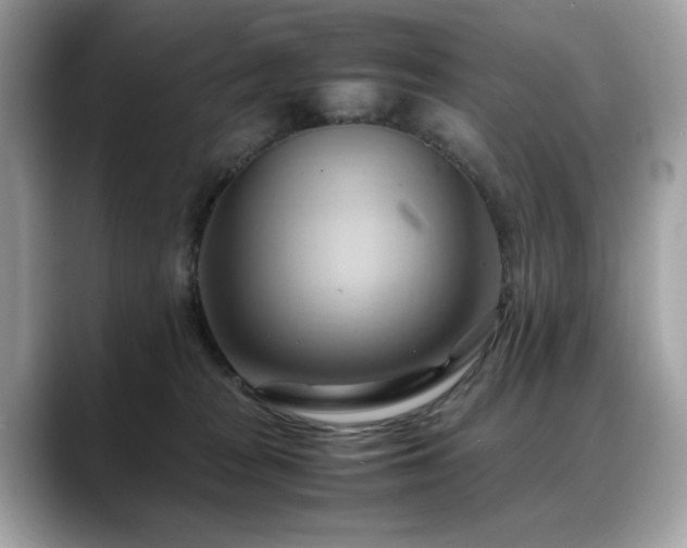 X0000088740277200705311453