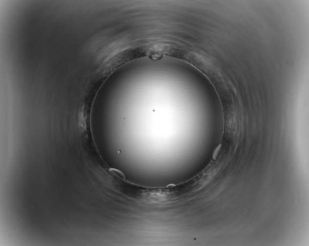 X0000088740282200705311453