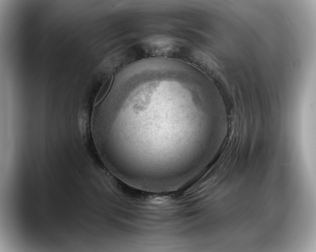 X0000088740283200705311453