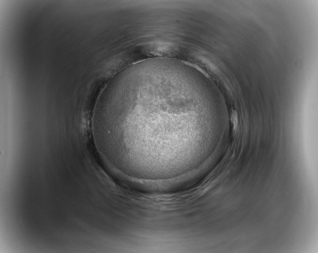 X0000088740284200705311453