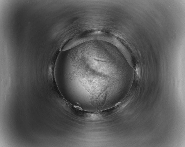 X0000088740286200705311453