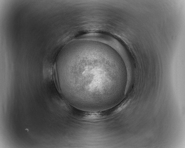 X0000088740288200705311453