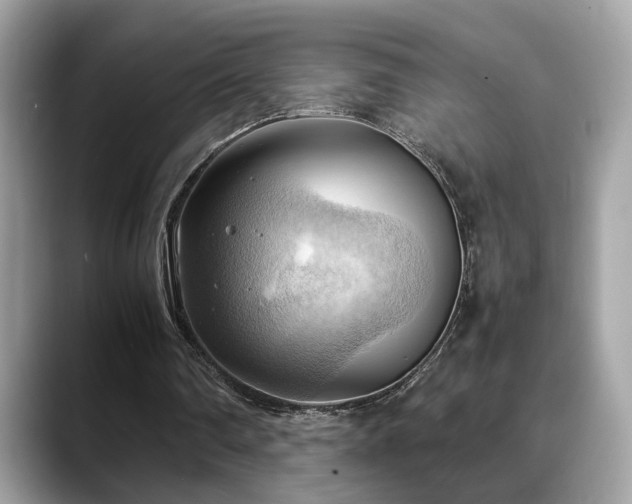 X0000088740290200705311452