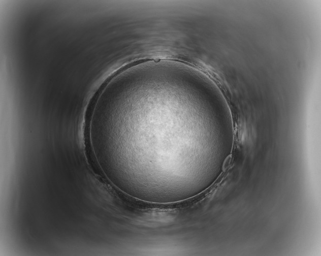 X0000088740292200705311452