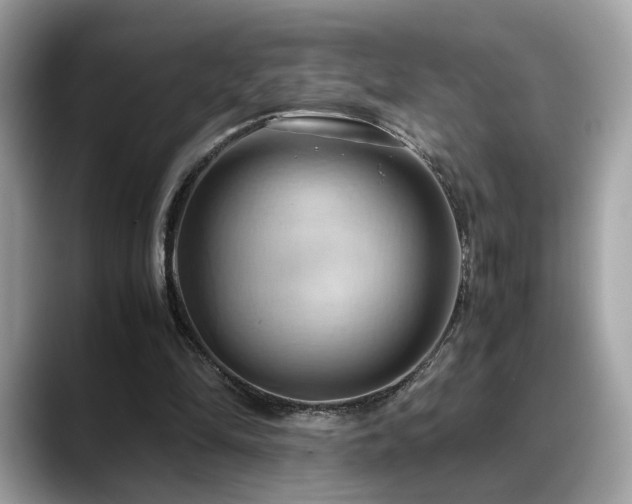 X0000088740294200705311452