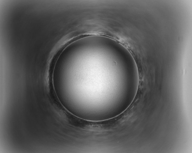 X0000088740296200705311452