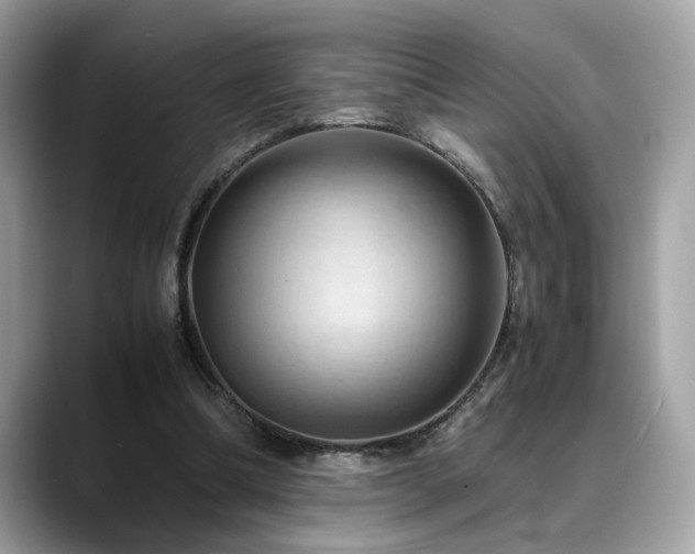 X0000088740298200705311452