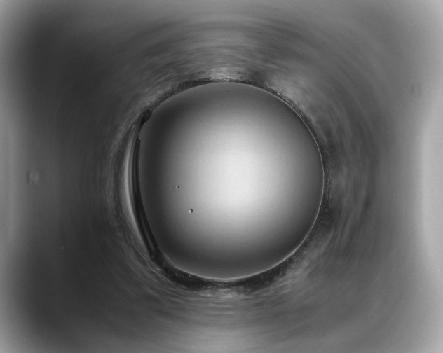 X0000088740299200705311452