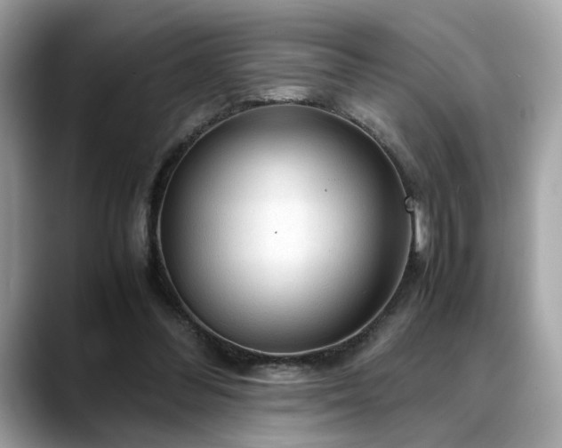 X0000088740300200705311452