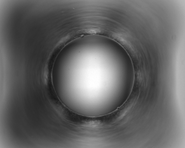 X0000088740304200705311452