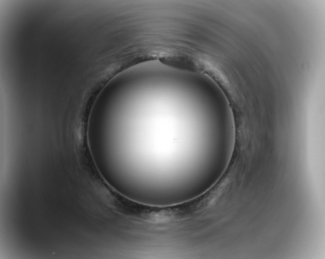 X0000088740305200705311452