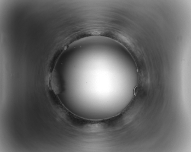 X0000088740307200705311452