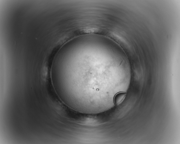 X0000088740308200705311452