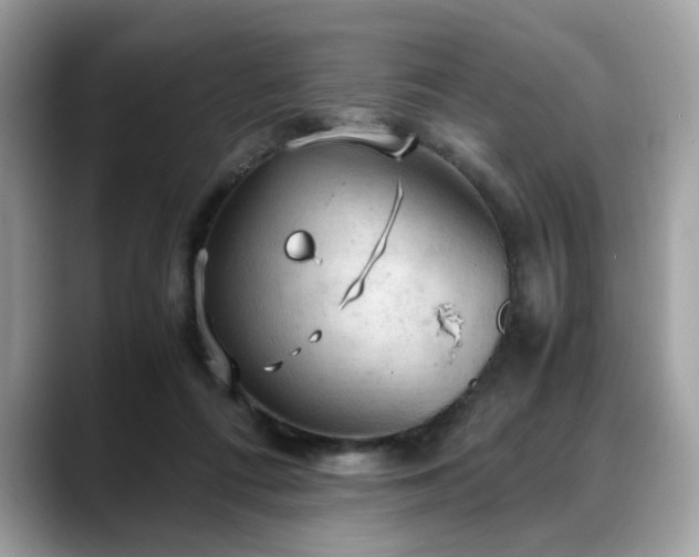 X0000088740312200705311452