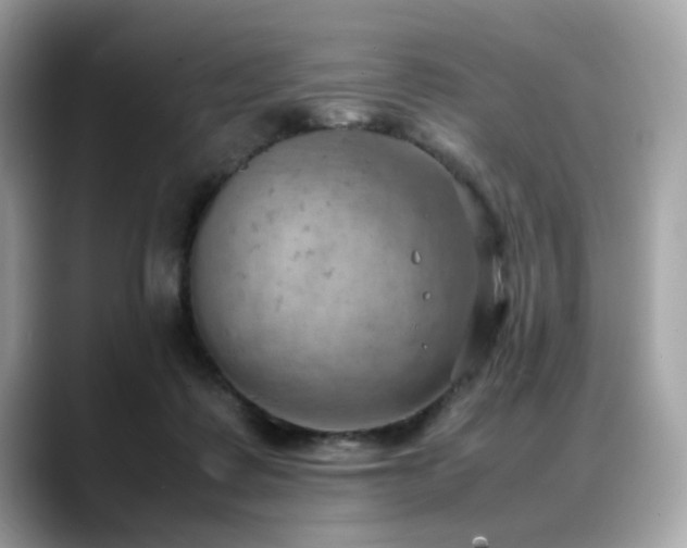X0000088740315200705311452